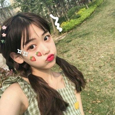 征服北极的人